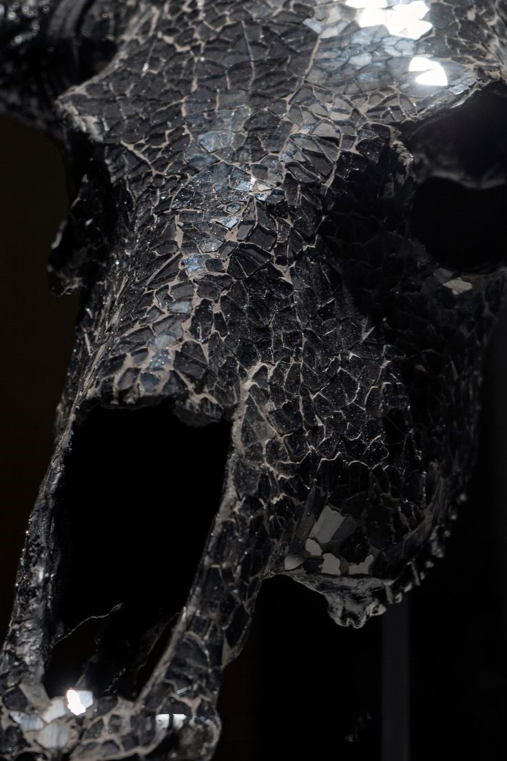 مجسمه جمجمه گاو با پایه و دیوارکوب