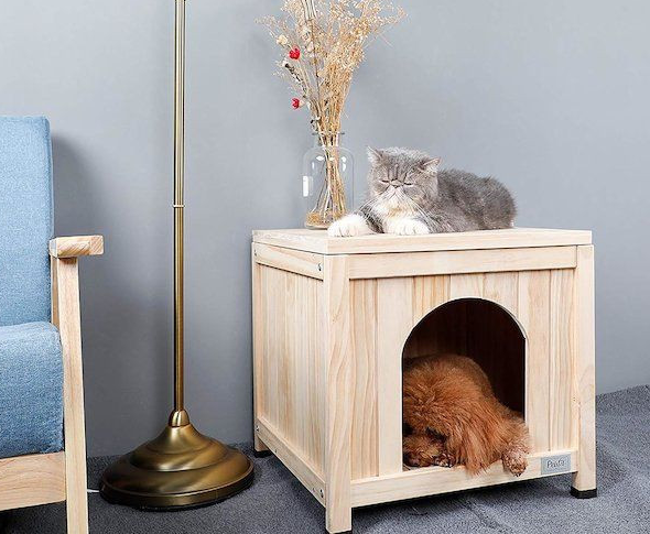 خانه سگ و گربه چوبی