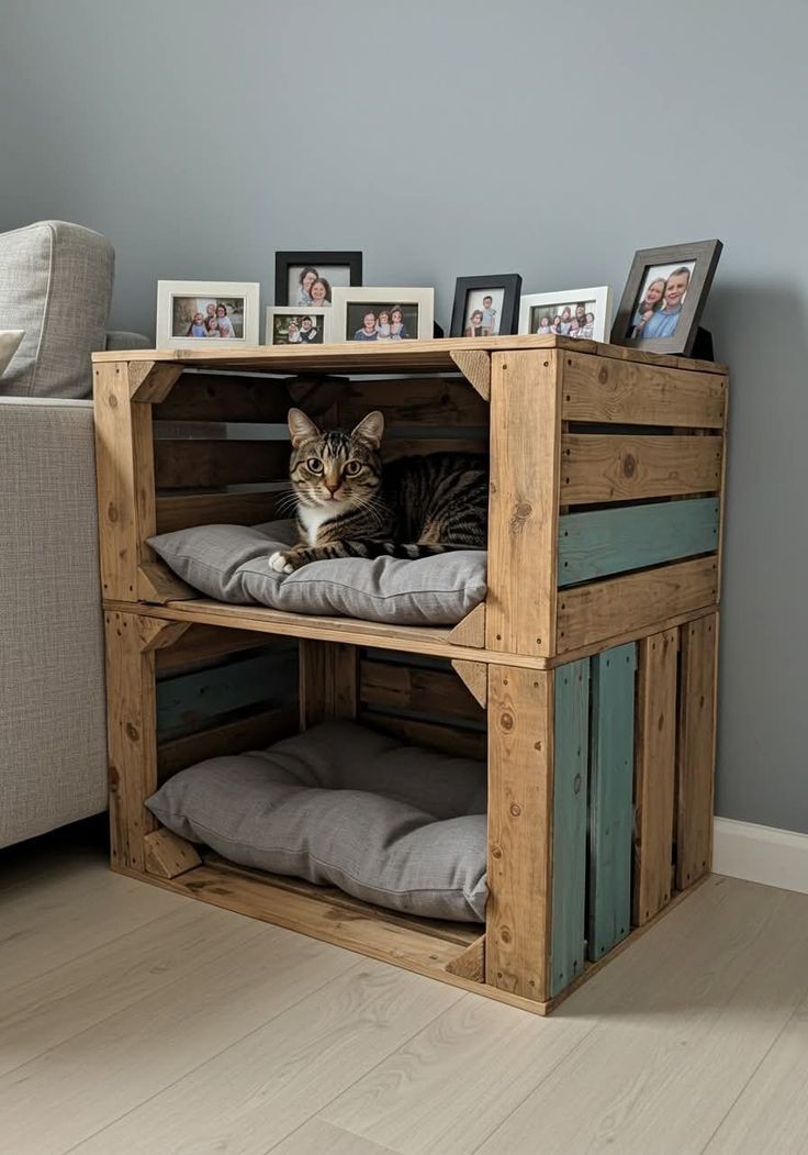 لانه گربه چوبی