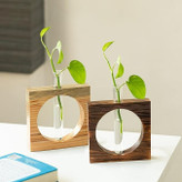 نمای نزدیک از گلدان چوبی با قلمه پتوس داخل لوله شیشهای