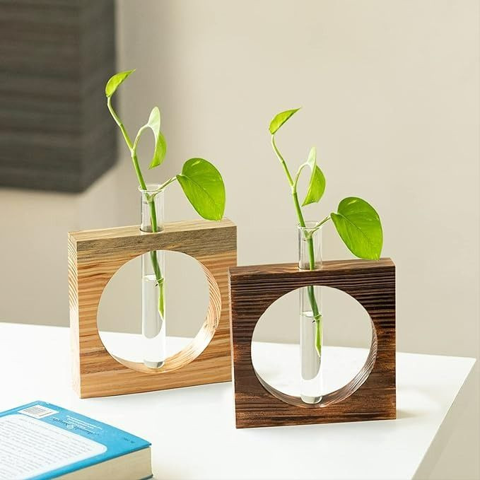 نمای نزدیک از گلدان چوبی با قلمه پتوس داخل لوله شیشهای