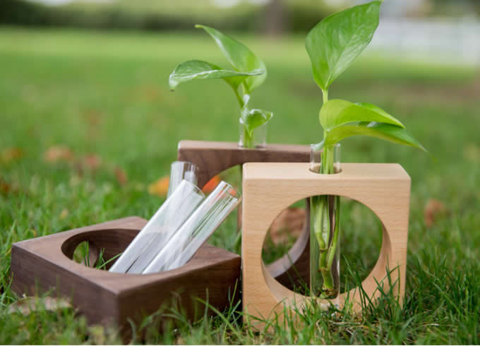 گلدان دستساز چوبی با طراحی خاص برای دکور مدرن و ساده