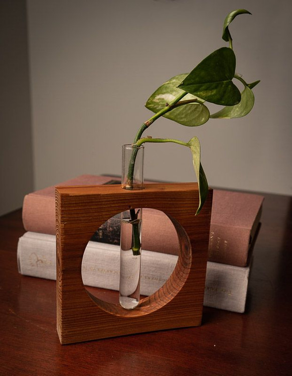 گلدان خاص مناسب هدیه برای علاقهمندان به طراحی داخلی و گیاهان