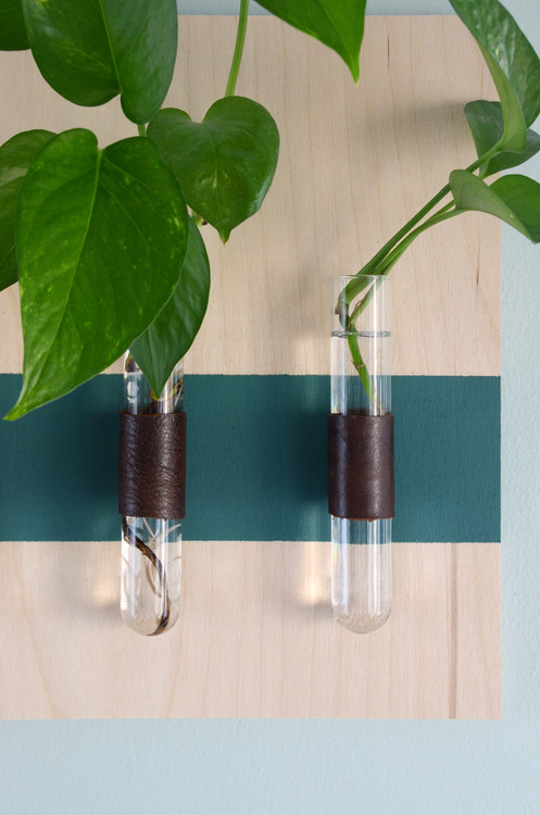 جزئیاتی لطیف، طراحی صیقلی: این فرم منحنی از چوب، به دیوار شما حس ارگانیک و دلنشین میدهد، حتی با حداقل گیاه داخل لولهها