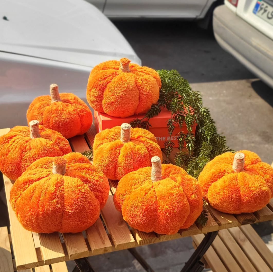 کدو دکوری پاییزی