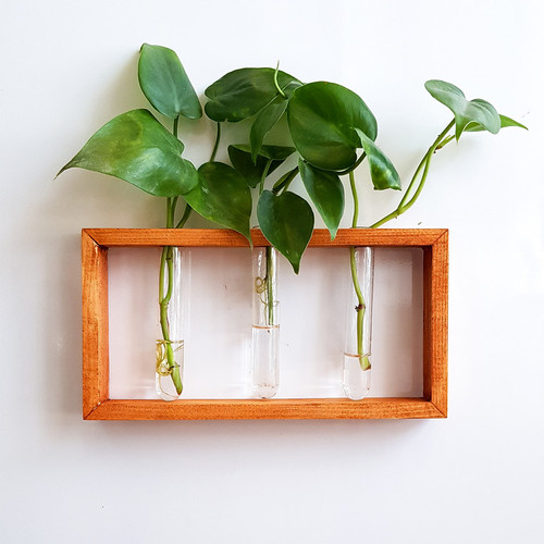 گلدان دکوری چوبی با لوله جای گل هدیه